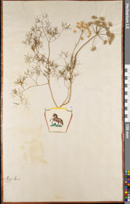 LE 01062702