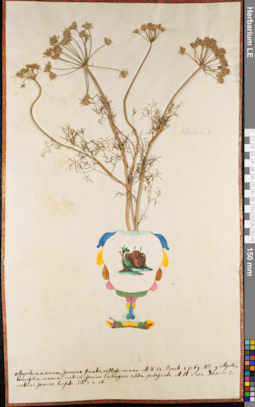 LE 01062703