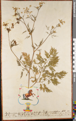 LE 01062704