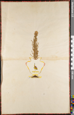 LE 01062711