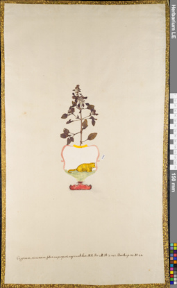 LE 01062721