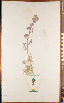LE 01062735