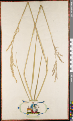 LE 01062738