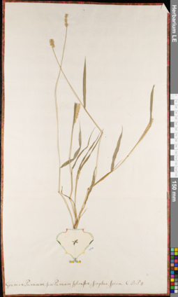 LE 01062739