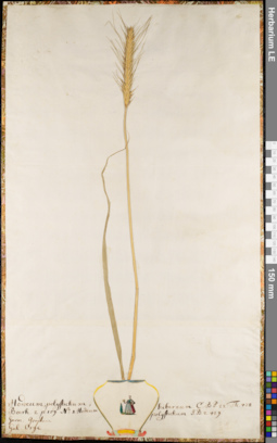 LE 01062743