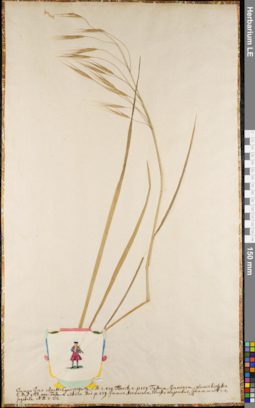 LE 01062746