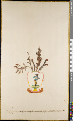 LE 01062751