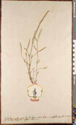 LE 01062758