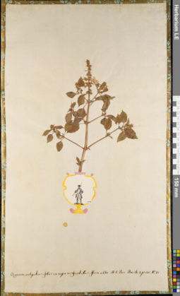 LE 01062760