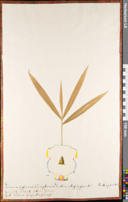 LE 01062764