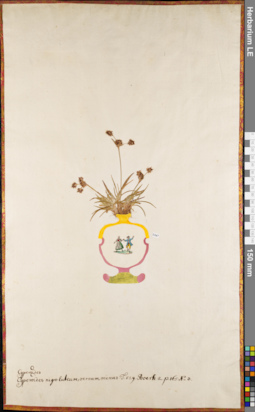 LE 01062793