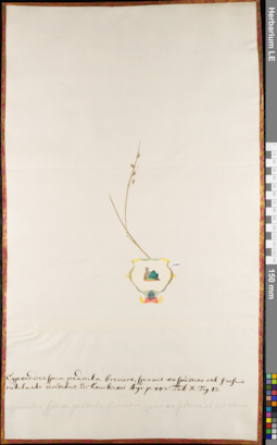 LE 01062796