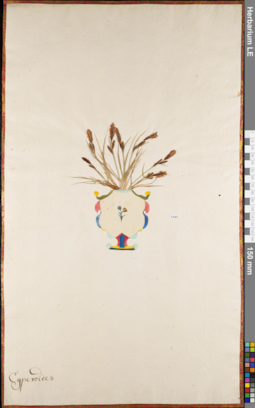 LE 01062797