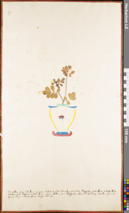 LE 01062804