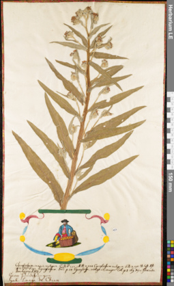 LE 01062848