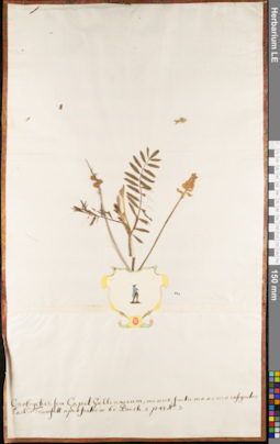 LE 01062872