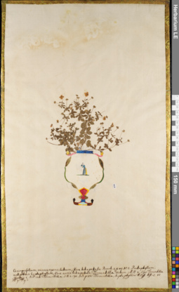 LE 01062947