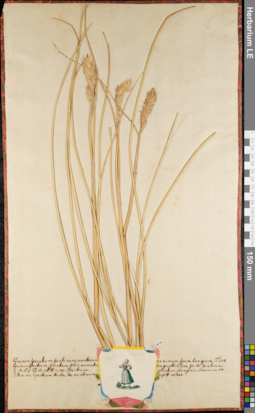 LE 01062950