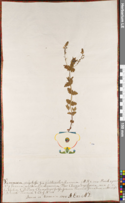 LE 01062972