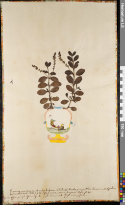 LE 01062991