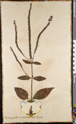 LE 01062995