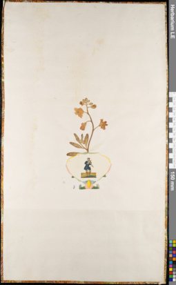 LE 01063009