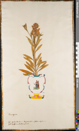 LE 01063016