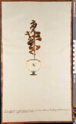 LE 01063029