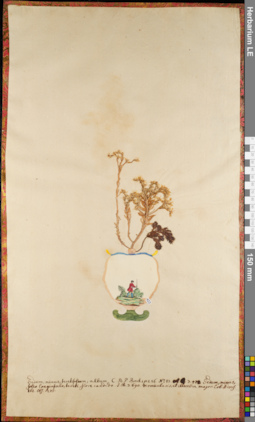 LE 01063030