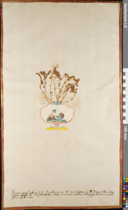 LE 01063037
