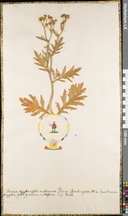 LE 01063049
