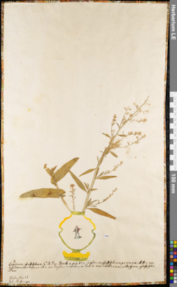 LE 01063050
