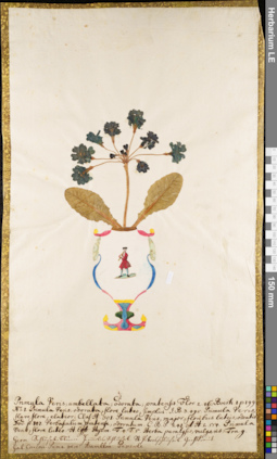 LE 01063058