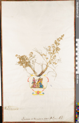LE 01063071