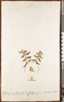 LE 01084003