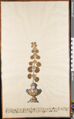LE 01084032