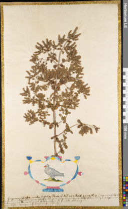 LE 01084039
