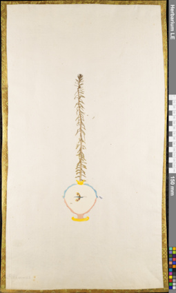LE 01084053