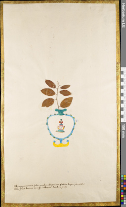 LE 01084055