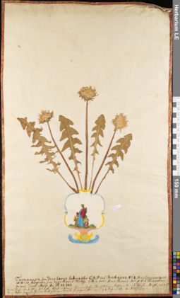 LE 01084087