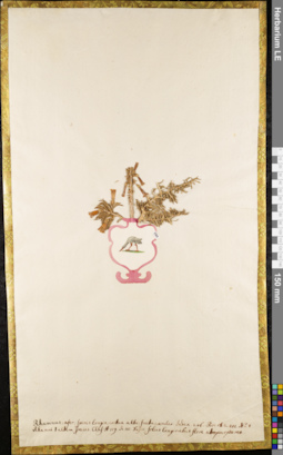 LE 01084104