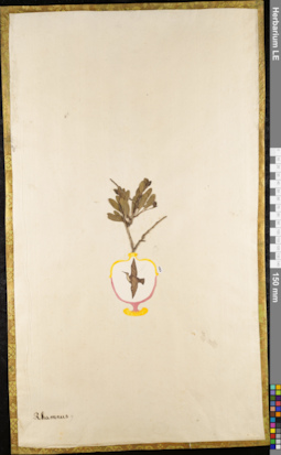 LE 01084105