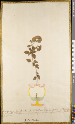 LE 01084109