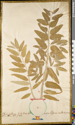 LE 01084119