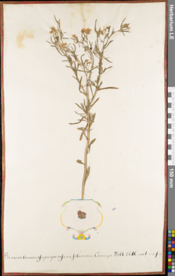 LE 01084125