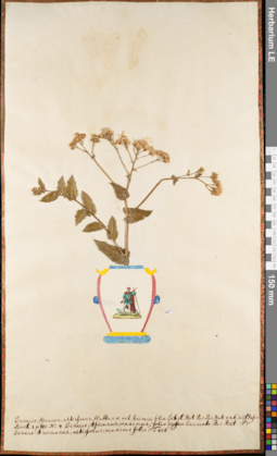 LE 01084129