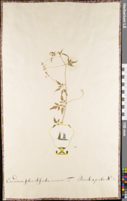 LE 01084165