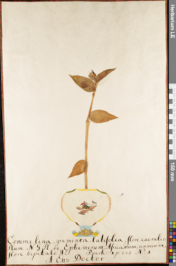 LE 01084168