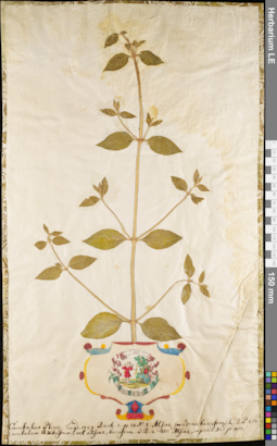 LE 01084175