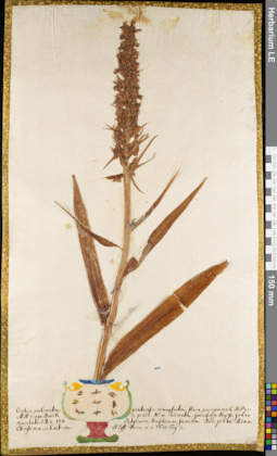 LE 01084179